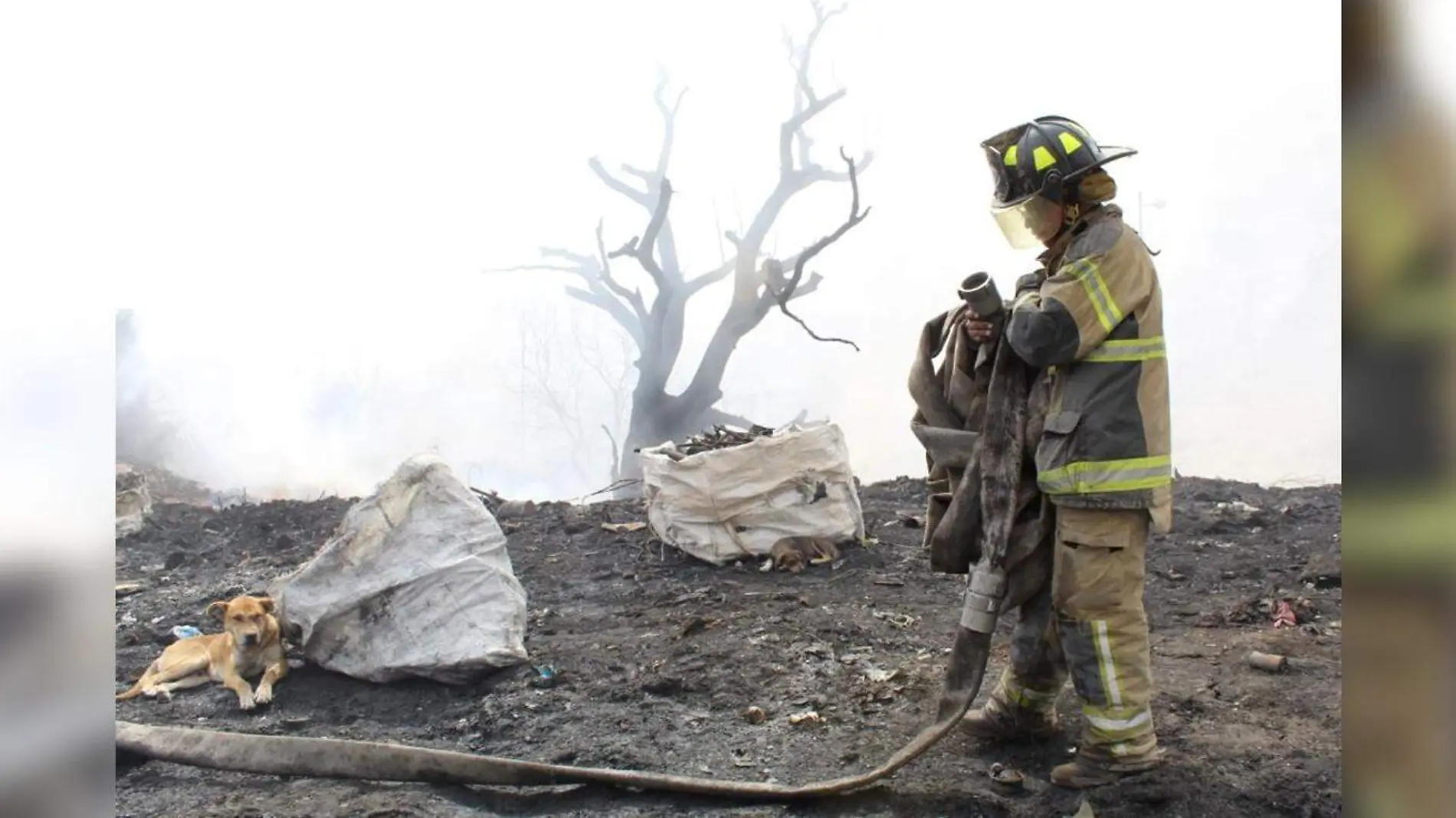 chimalhuacan incendio gobierno